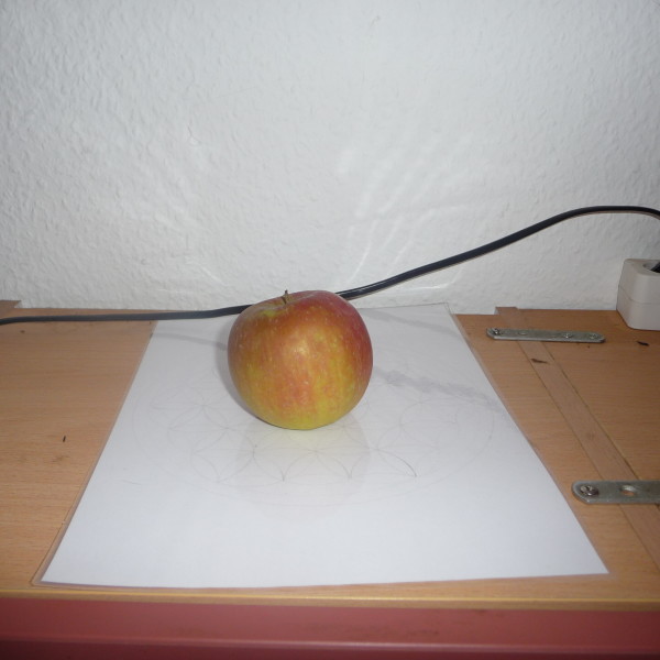 Blume des Lebens Experiment_A1_140213